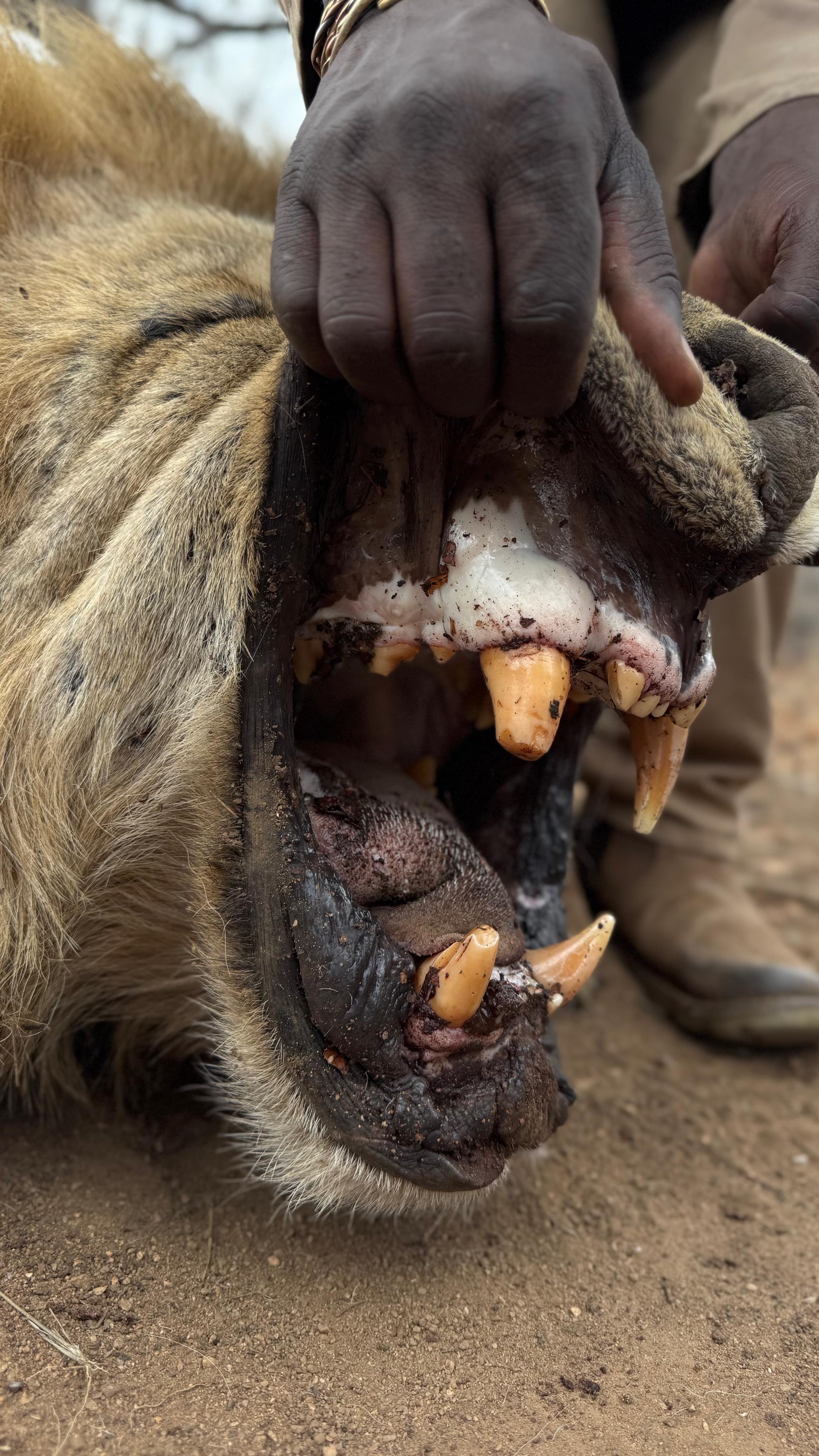 WhatsApp Image 2025-11-26 at 18.24.47_f4cc4cc0.jpg