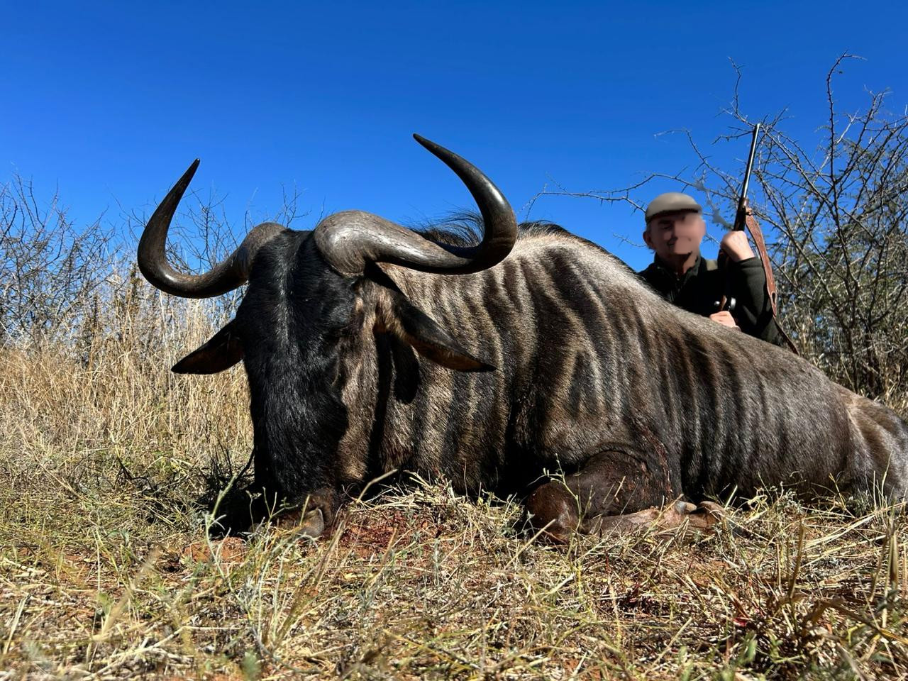 WhatsApp Image 2025-12-01 at 104811_cf93dea4.jpg