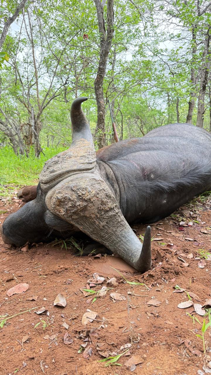 WhatsApp Image 2025-12-10 at 16.08.34_0fa34bf1.jpg