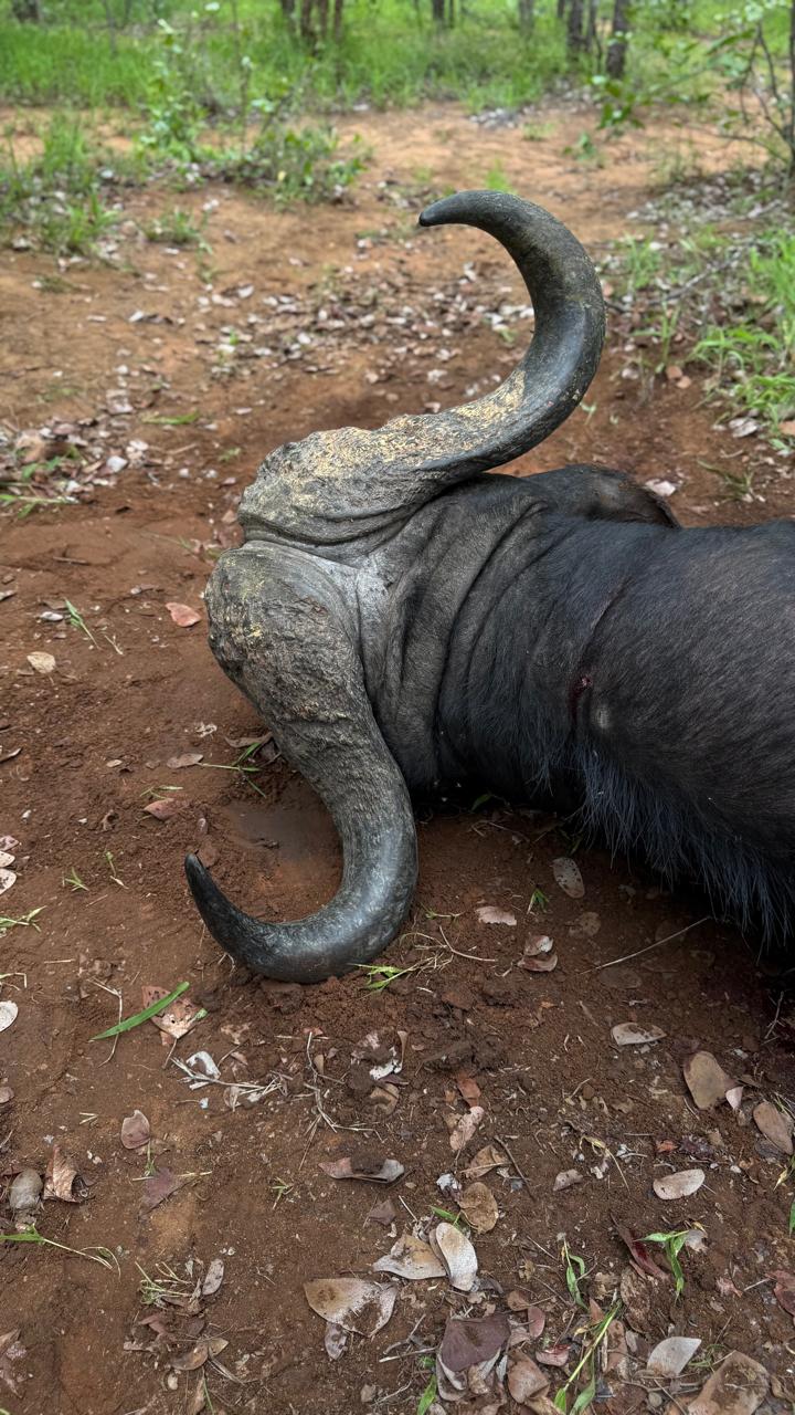 WhatsApp Image 2025-12-10 at 16.08.34_2d9ab456.jpg