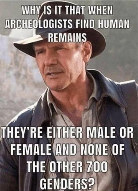 Why is it.jpeg