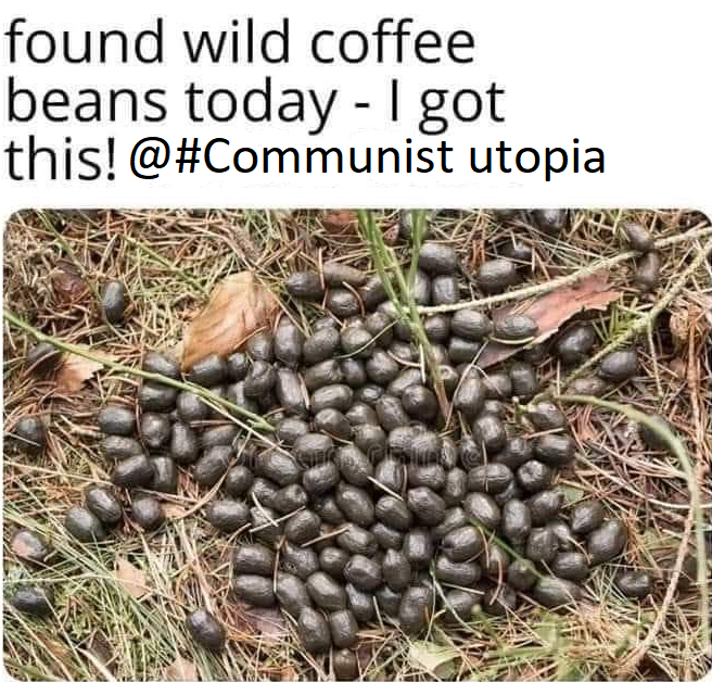 wild coffee beans.png