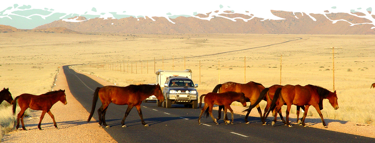Wild-Horses-of-the-Namib-02.jpg