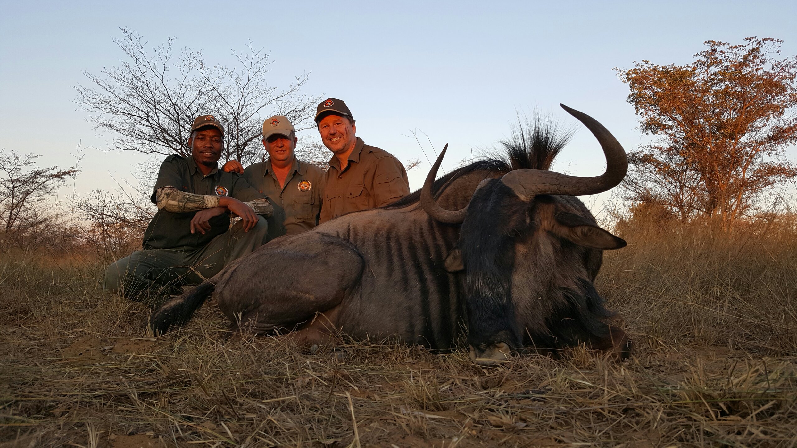 Wildebeest.jpeg