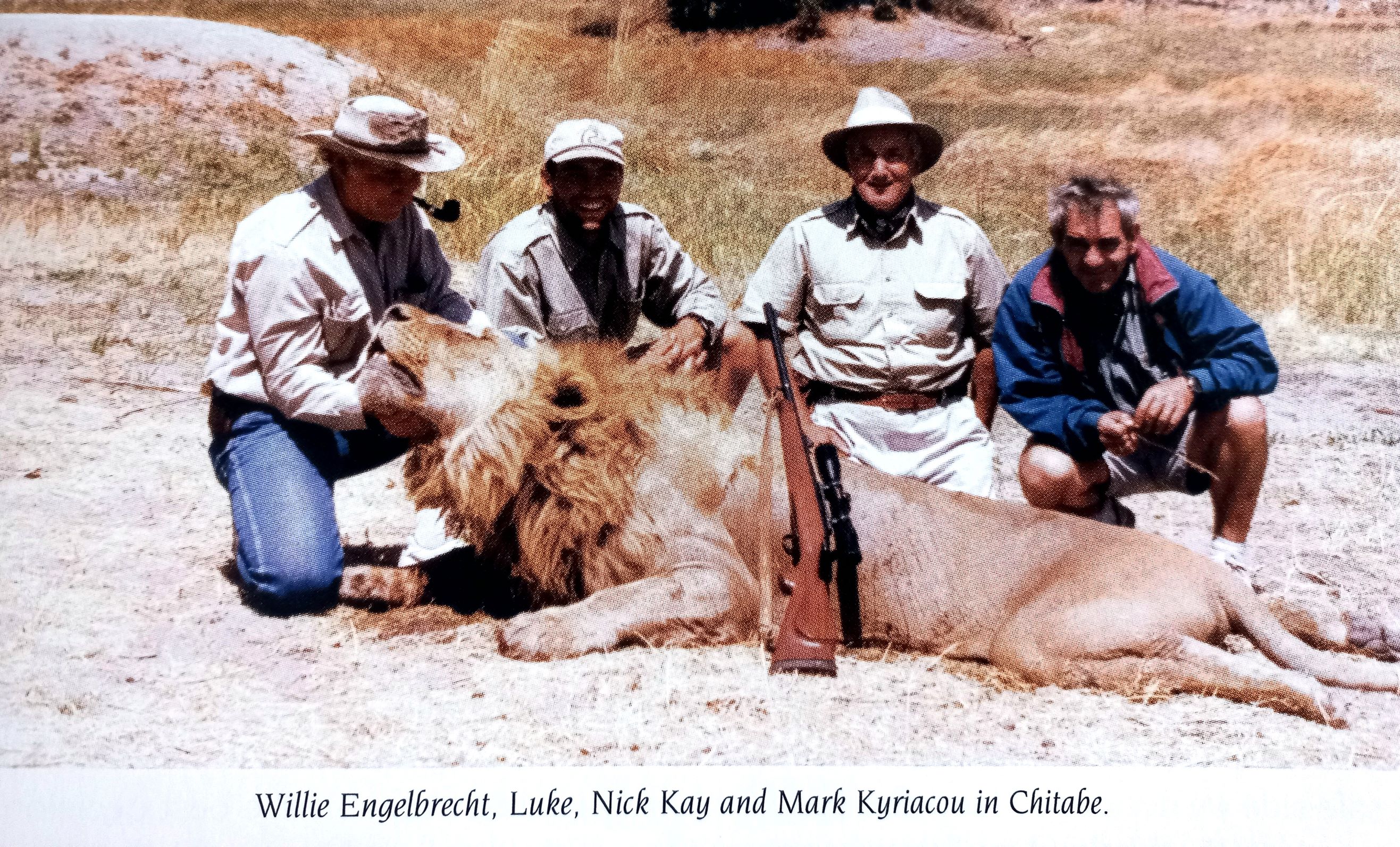 Willie Engelbrecht Lion (Botswana).jpg