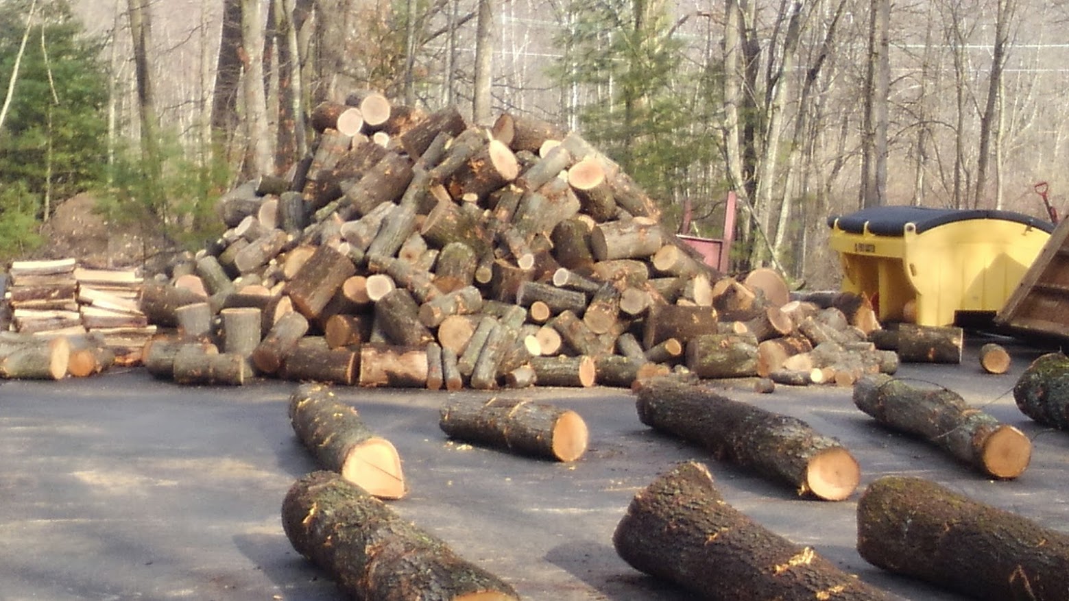 Wood Pile.JPG