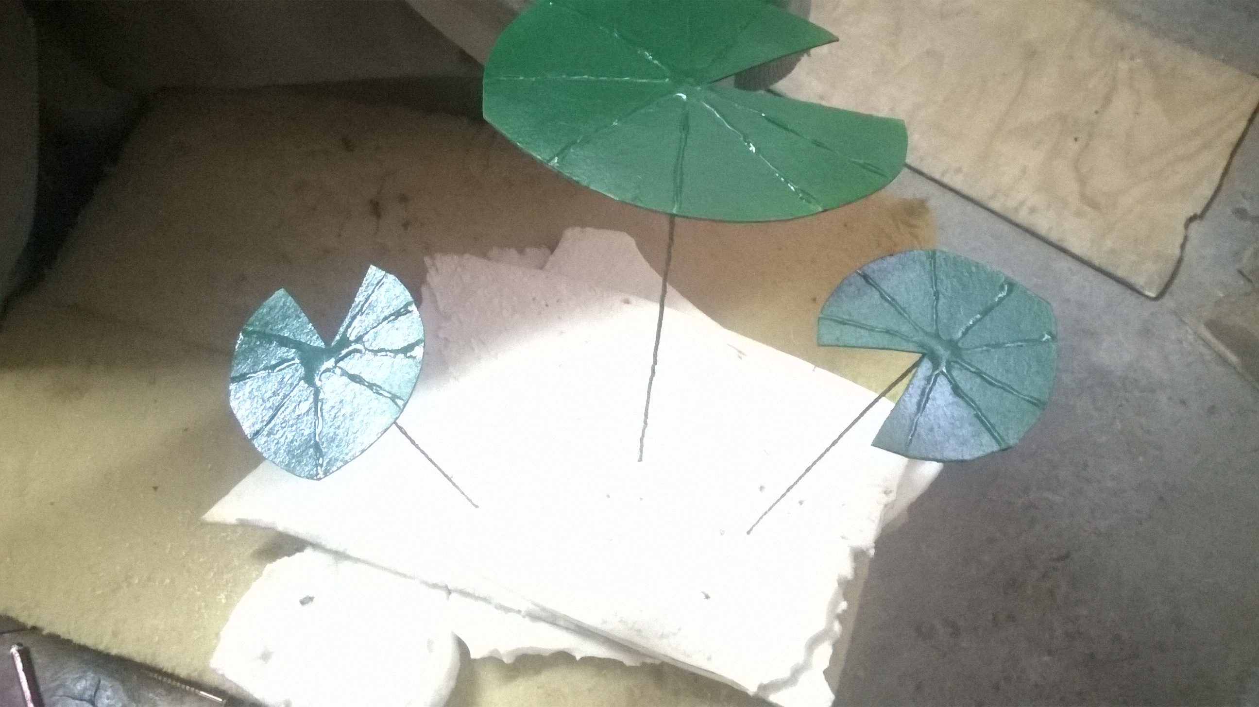 WP_20181023_009.jpg