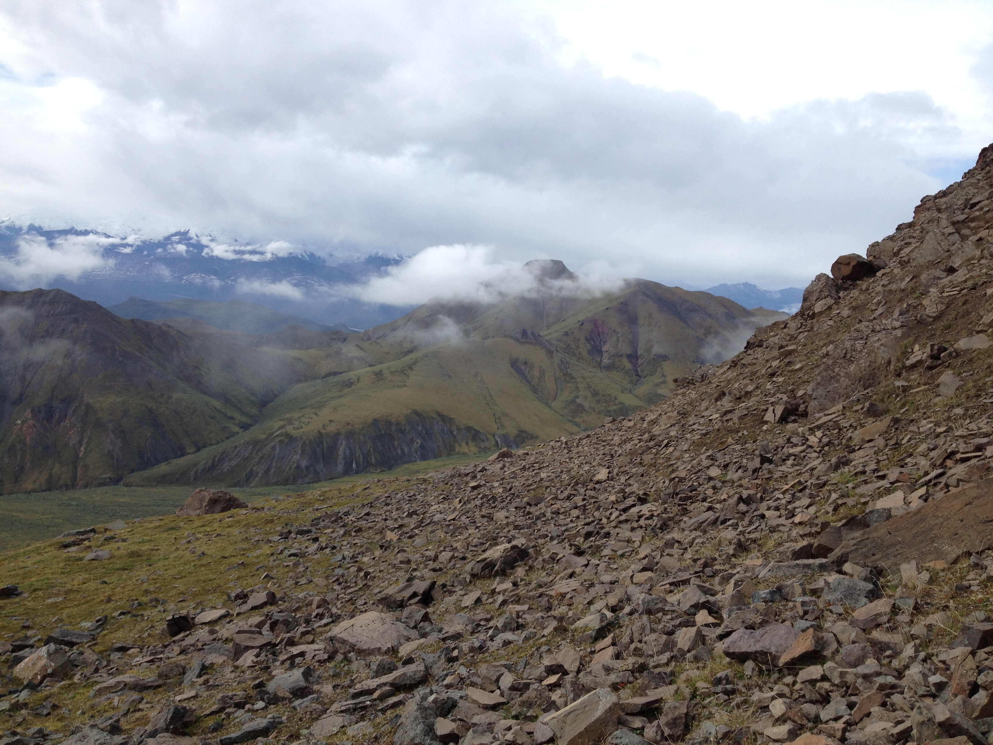 Yukon Sheep Hunt 2016 132.JPG