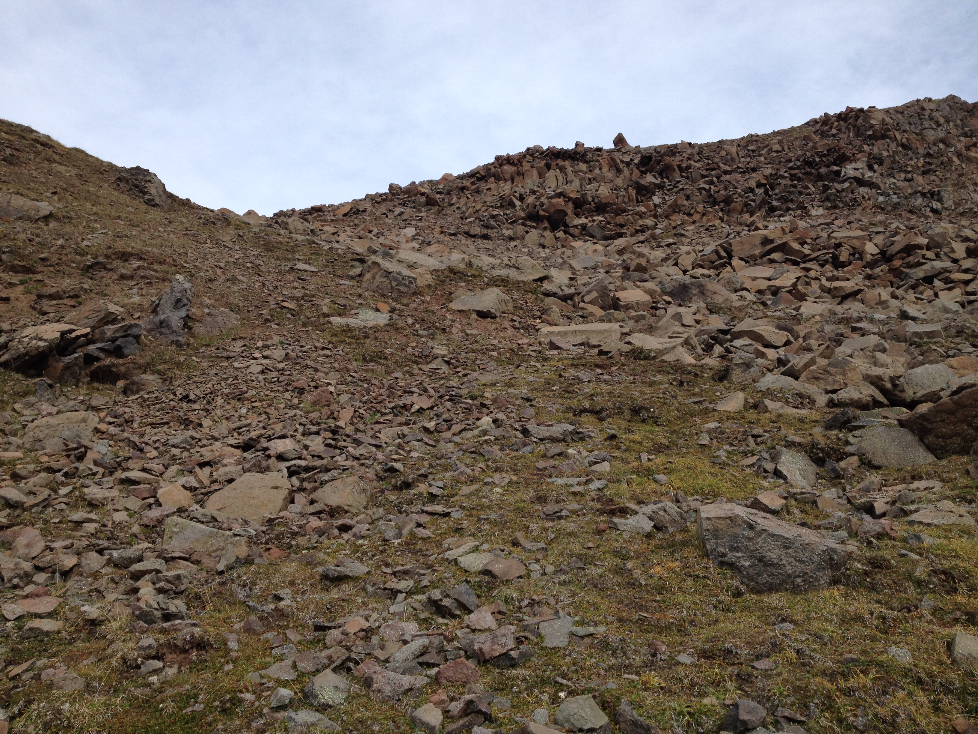 Yukon Sheep Hunt 2016 133.JPG