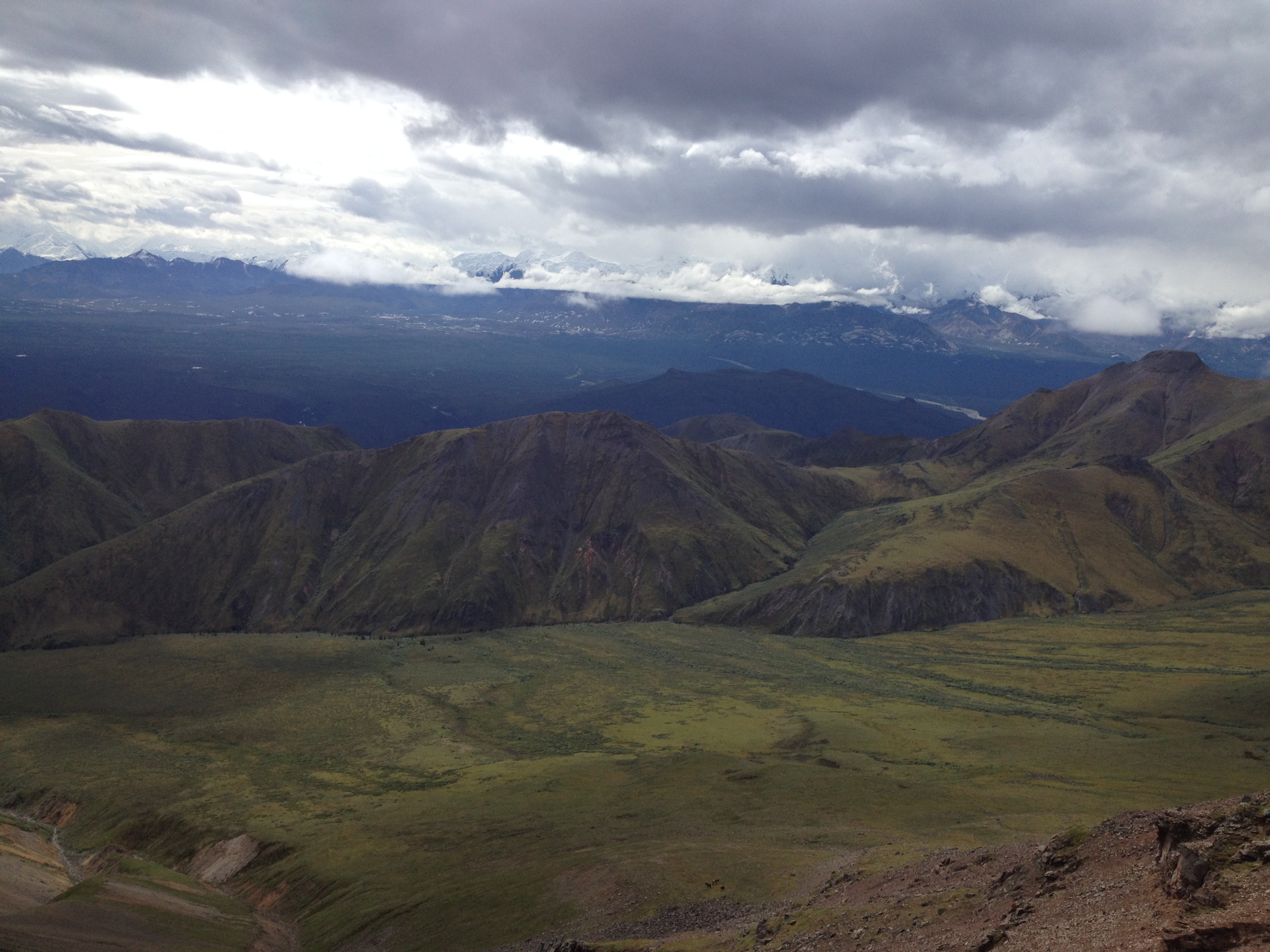 Yukon Sheep Hunt 2016 138.JPG