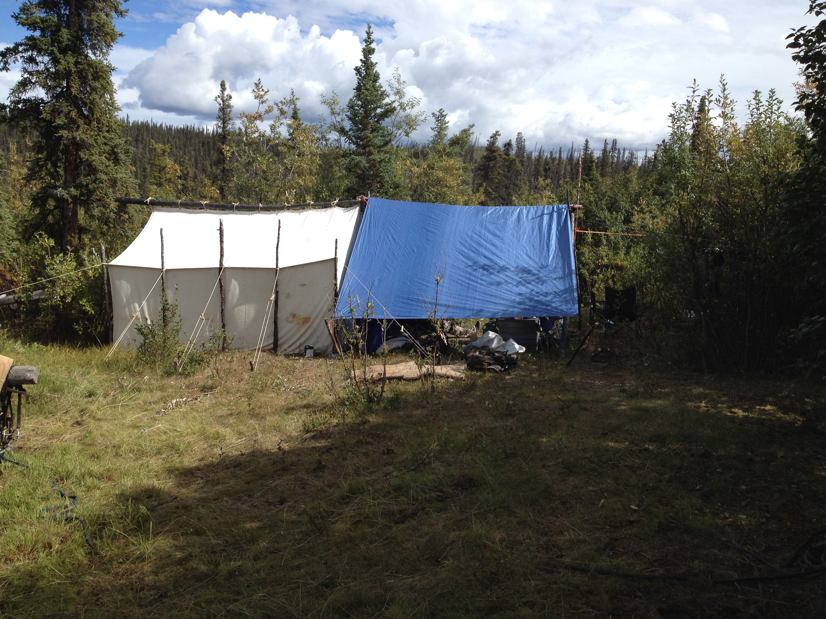 Yukon Sheep Hunt 2016 173.JPG