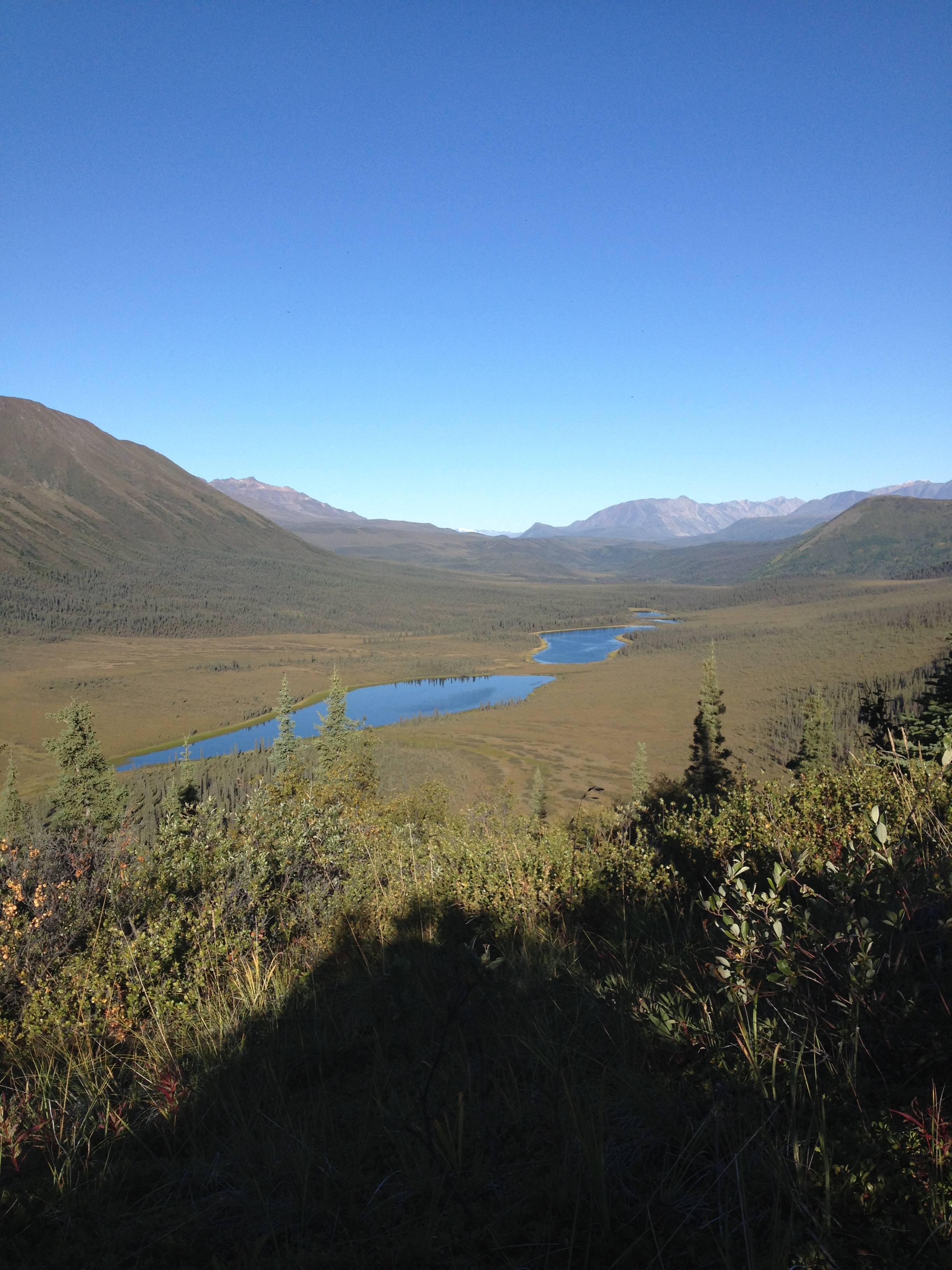 Yukon Sheep Hunt 2016 213.JPG