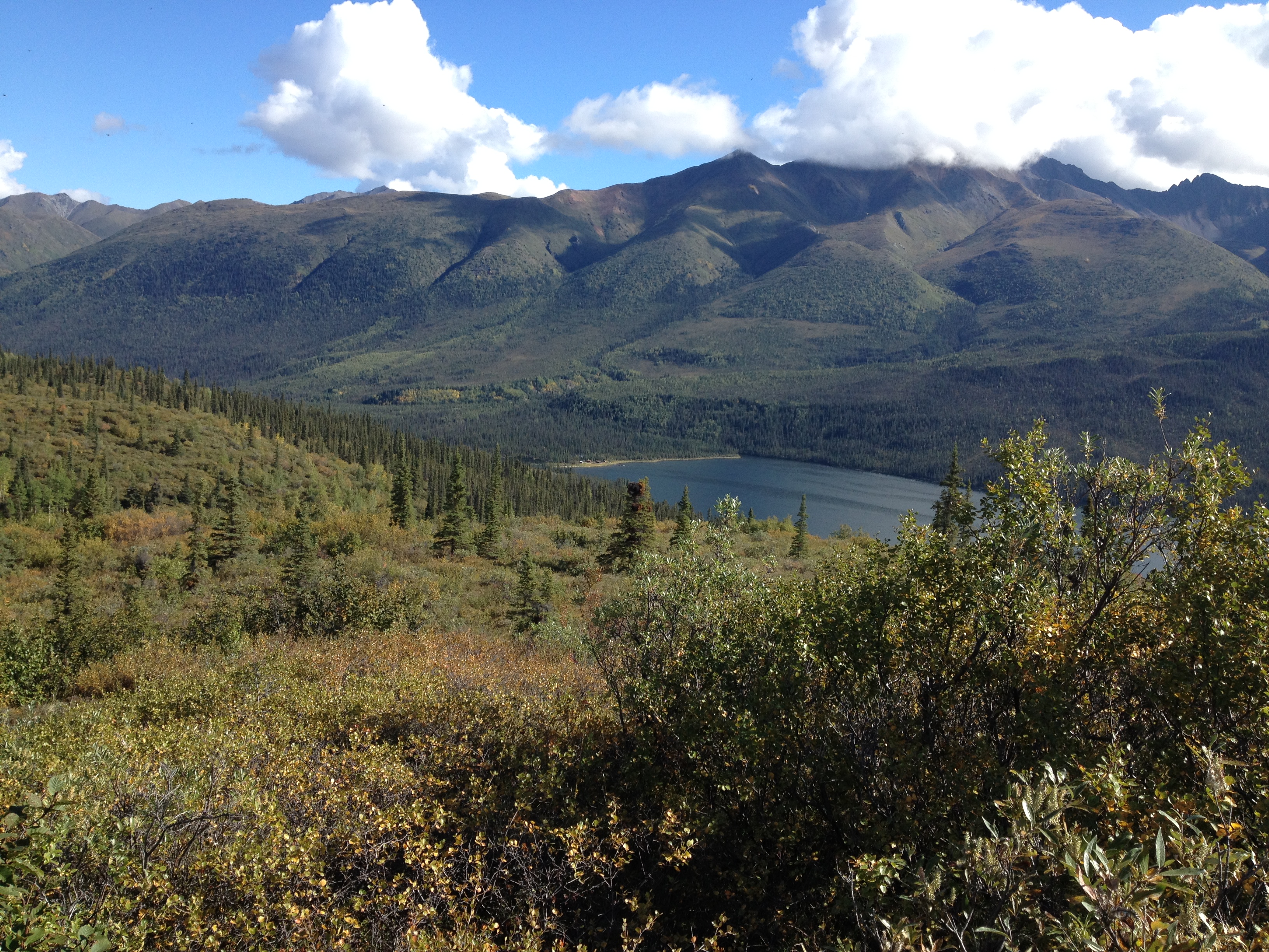 Yukon Sheep Hunt 2016 238.JPG