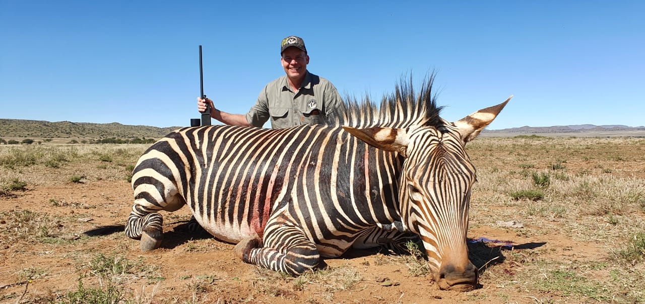 Zebra.jpeg