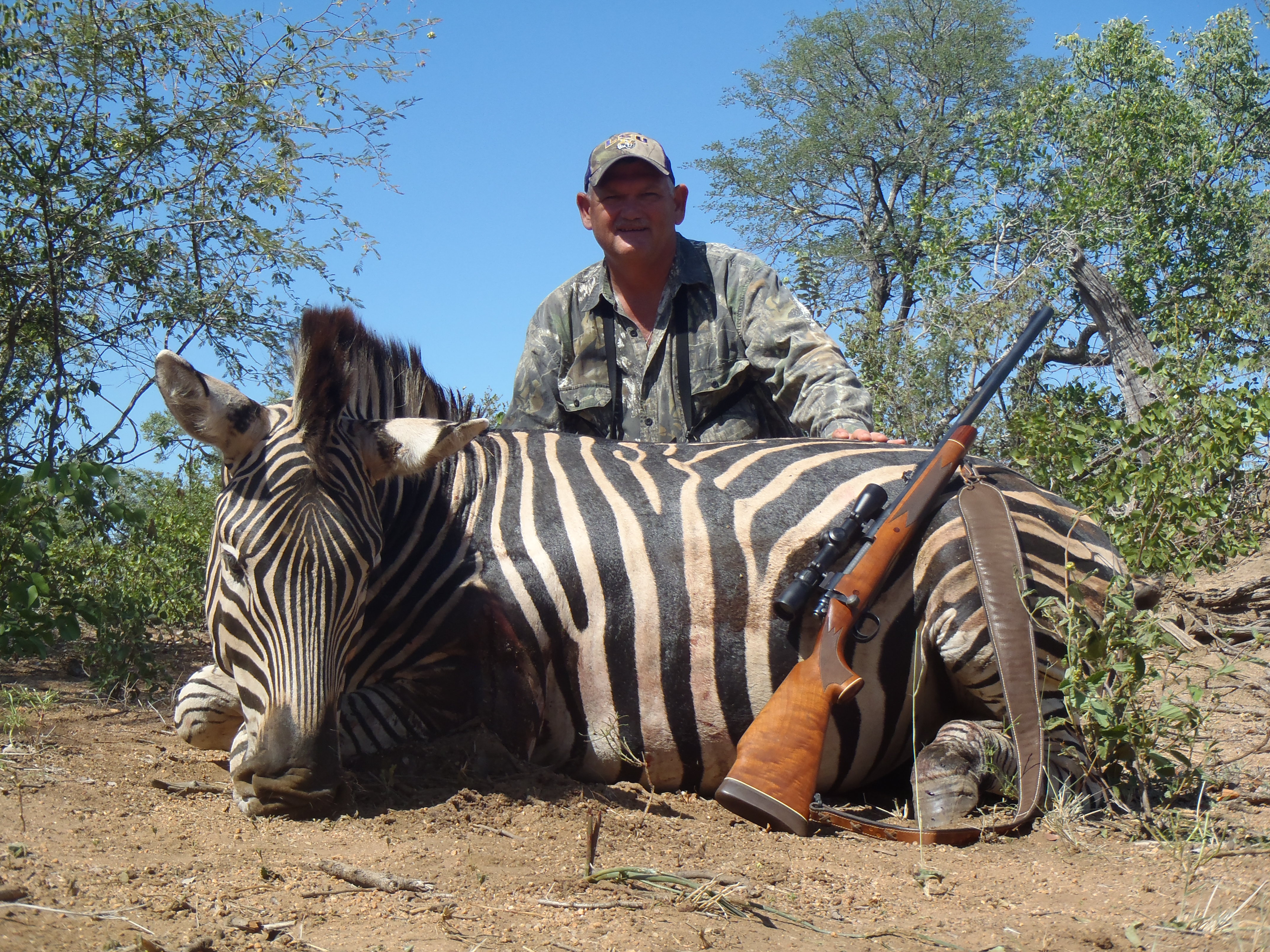 zebra.JPG