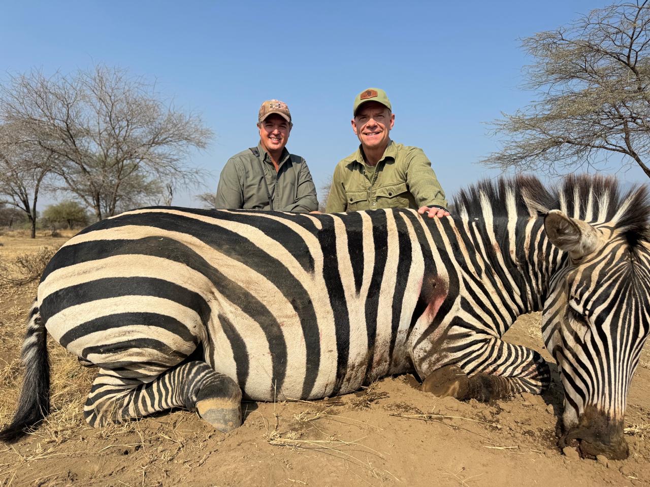 Zebra.JPG