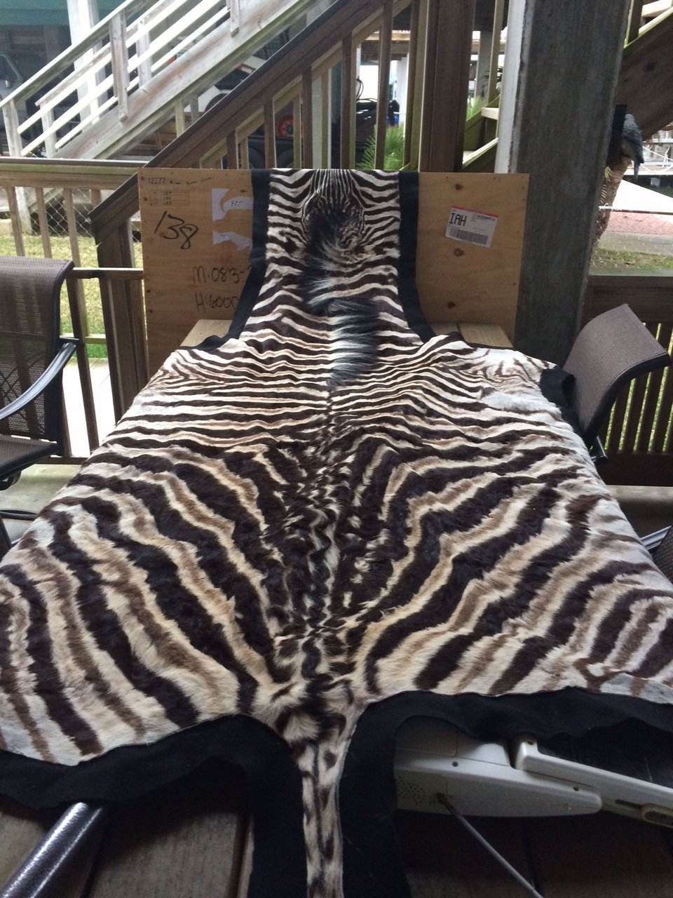 Zebra Rug (1).JPG