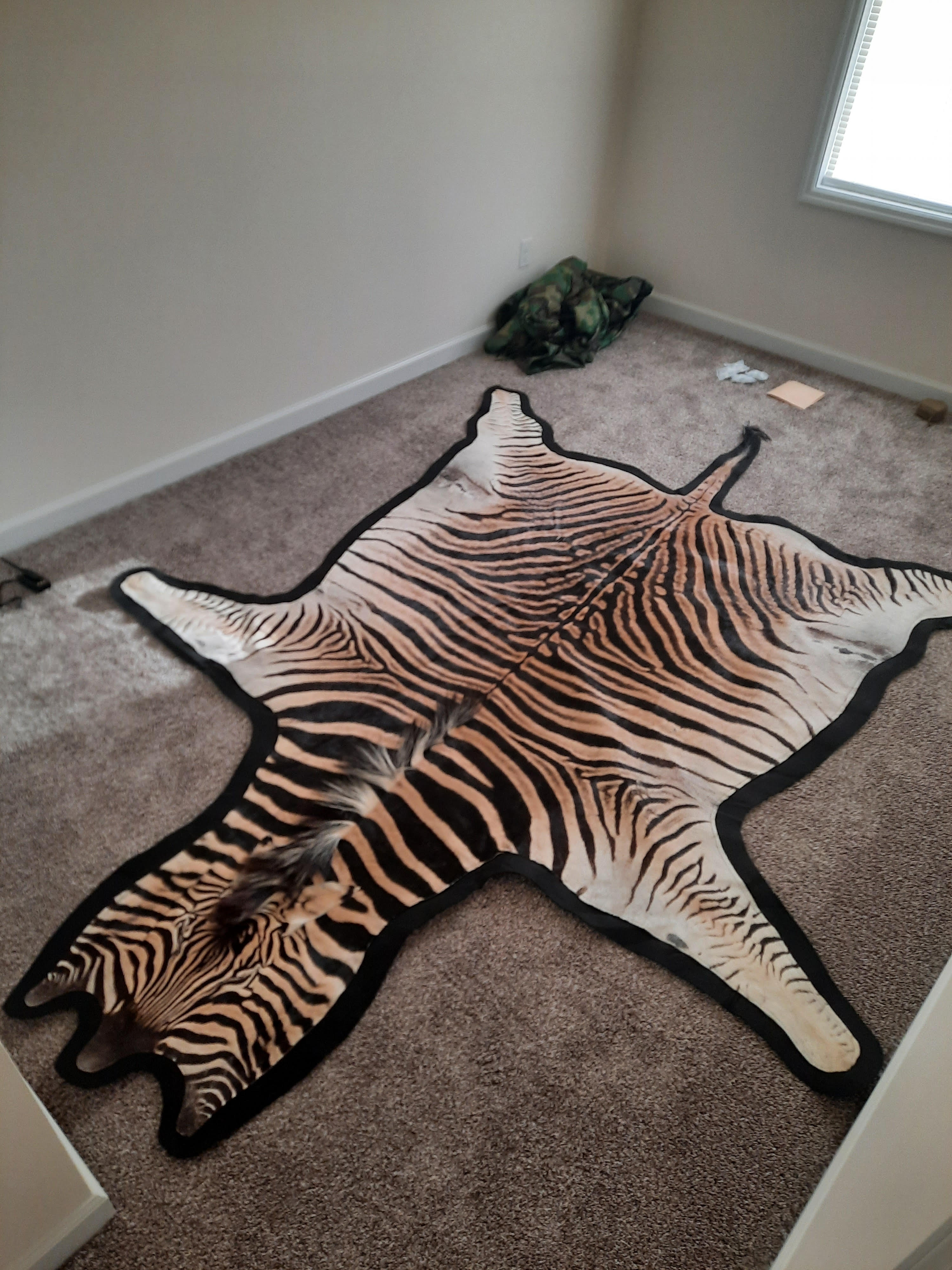 zebra rug 1.jpg