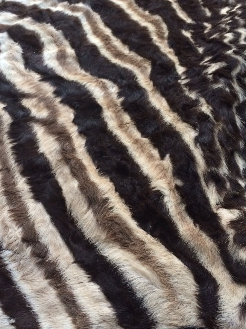 Zebra Rug (2).JPG