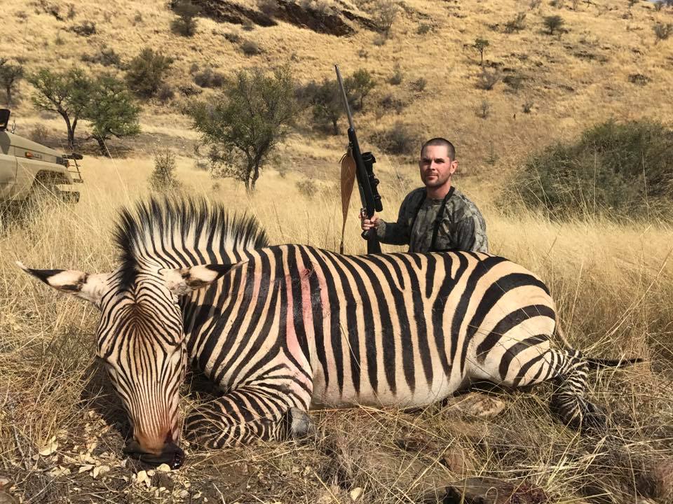 zebra2.jpg