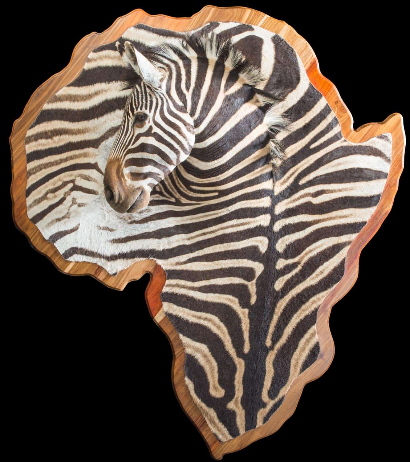Zebra_3D_Mount_20170717_1424.jpeg