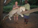 leopard-01.jpg