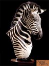 zebra-pedestal-mount.jpg