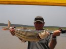 tiger-fish-01.jpg