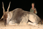 Eland1.png