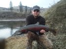 steelhead3.jpg