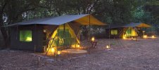 bushcamp3.jpg