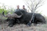 Cape Buffalo (2).jpg