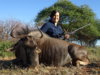 wildebeest becka.jpg