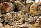 bone collector This is a Spotted Hyena den in South Africa.jpg