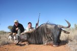 Phil's Blue Wildebeest.jpg