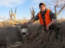 hunting-mule-deer.jpg