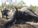 Tony Quilter Elephant 2013 178.jpg