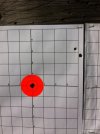 300yd 3 shot sight in (448 x 600).jpg