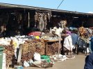 A-trader-sells-plant-muthi-next-to-a-honey-badger-fur.jpg