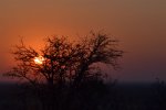DSC_0936-001.JPG