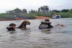 The 52nd Brazilian Jungle Infantry Batallion unusual mascot swimming with its partners.jpg