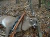 Deer11-20-2013001_zpsda817a82.jpg