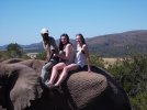 Girls on Elephant.jpg