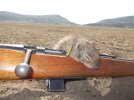 Squirrel and Rifle 3.jpg