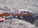 Squirrel and Rifle 1.jpg
