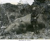 colonel-archie-hyle-with-elephant-vietnam-war-1st-cavalry-july-1966-bhf0cb.jpg