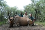 Eland2.jpg