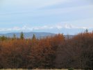 IMG_7507.jpg