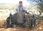 Blue Wildebeest - FM Safaris.JPG