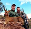 robert_hunting_klipspringer.jpg